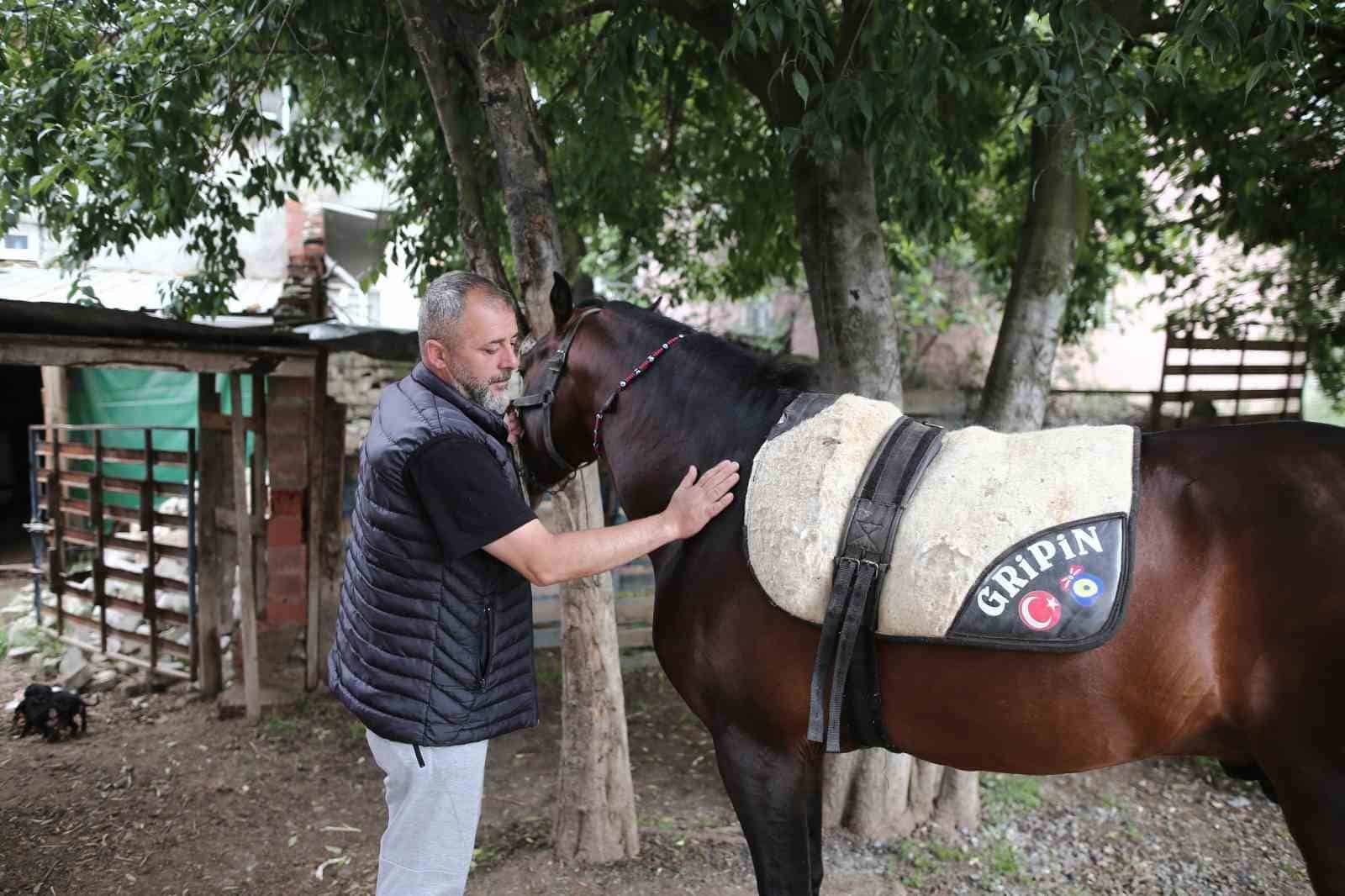 (Özel) "Uludağ" isimli tay annesinin karnındayken satıldı