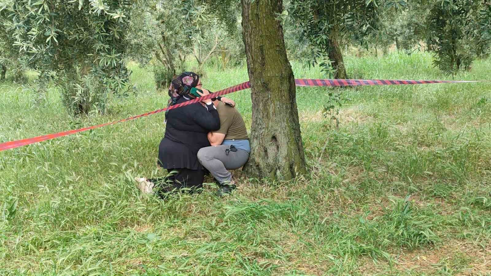 Topladığı erikleri satmaya götürürken kazada hayatını kaybetti