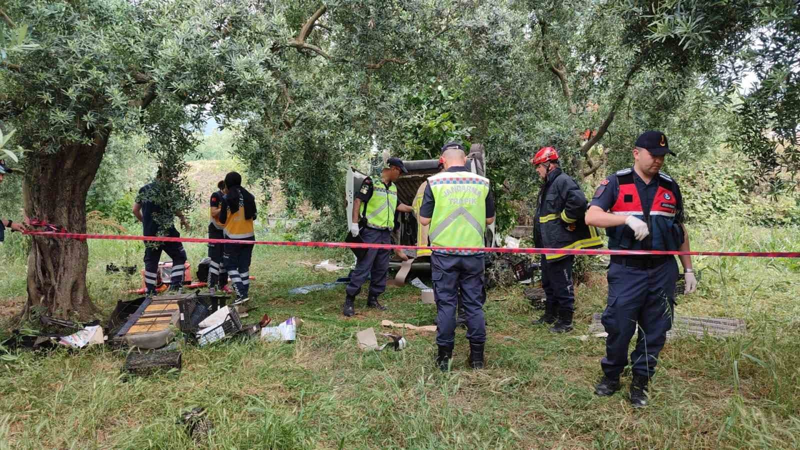 Topladığı erikleri satmaya götürürken kazada hayatını kaybetti