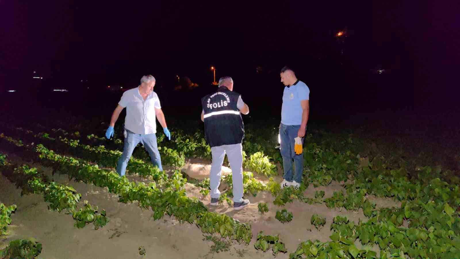 Doğum yapmış köpeği av tüfeği ile vurarak öldürdüler