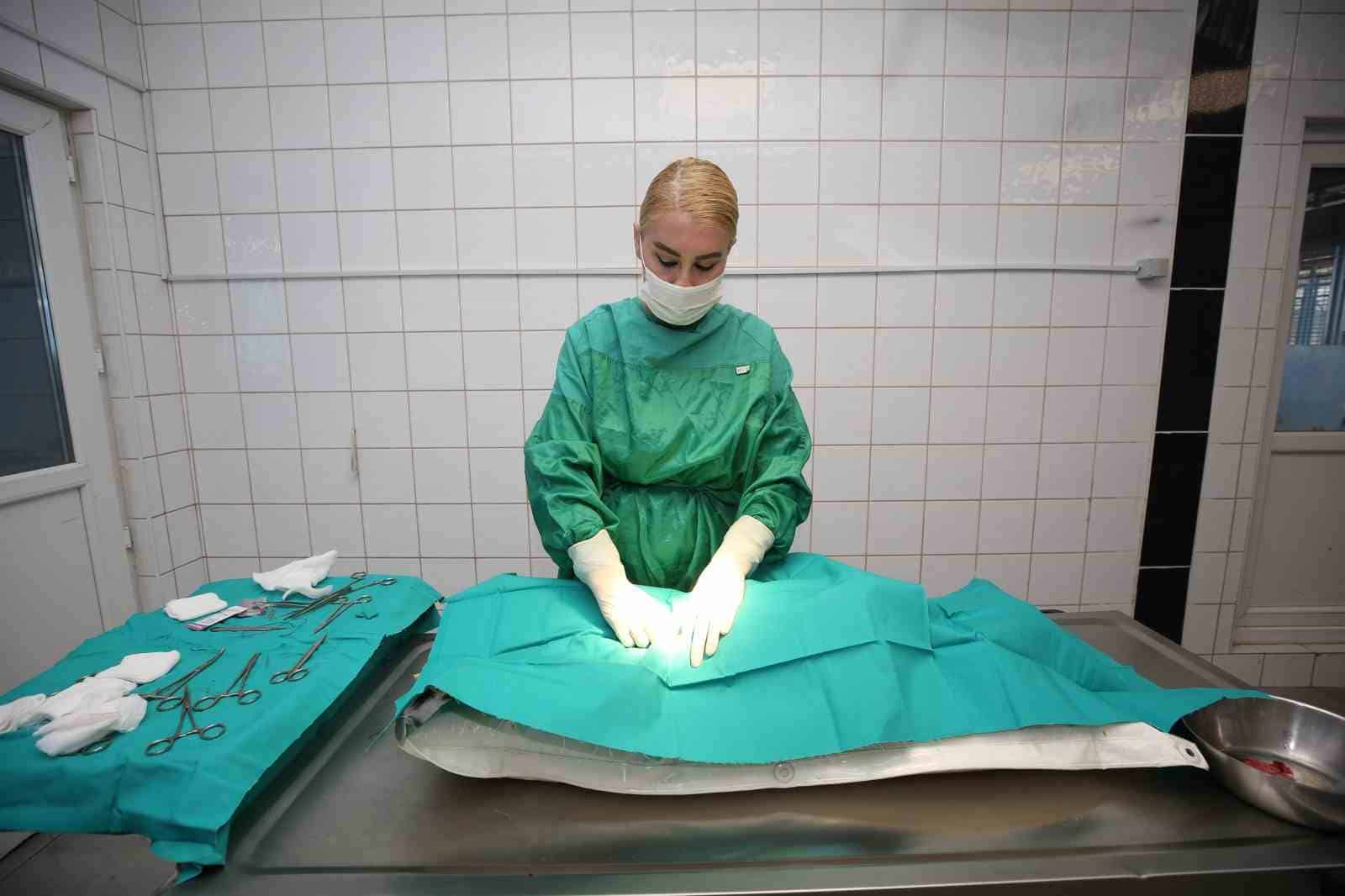 (Özel Haber) Nilüfer’deki sahipsiz sokak hayvanları tek tek kısırlaştırılıyor