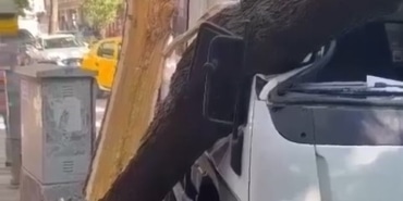 Ağaç kamyonetin üzerine devrildi