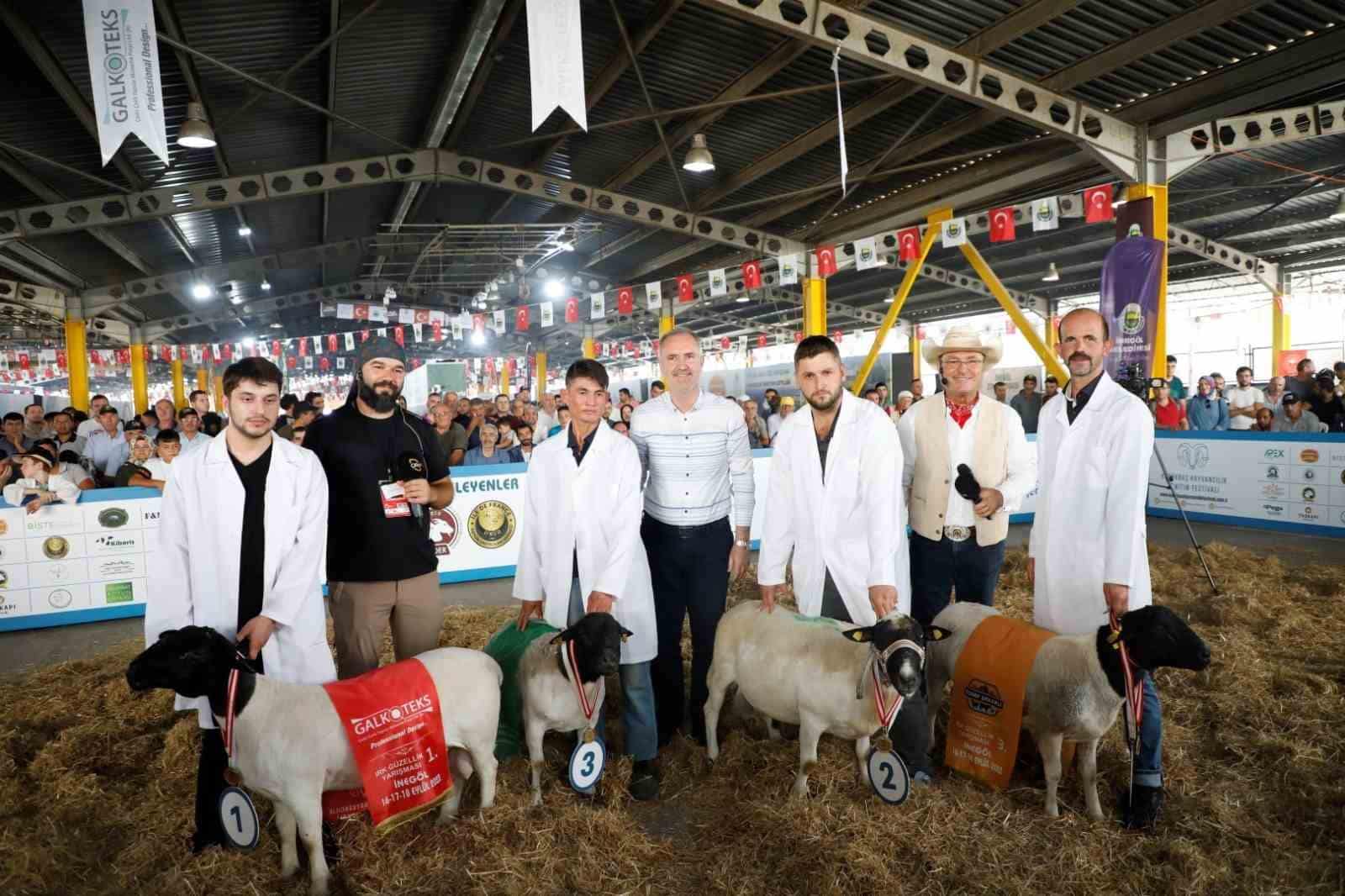 Küçükbaş hayvancılık festivali için geri sayım başladı