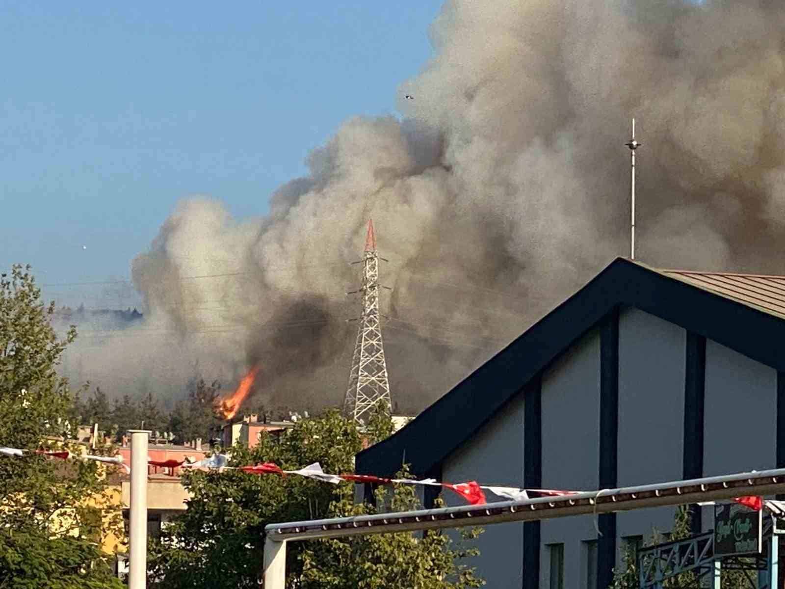 Bursa’da orman yangını