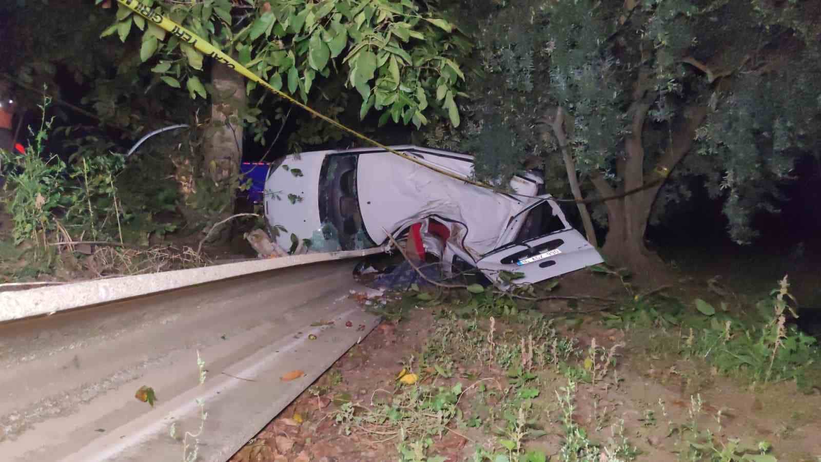 Bursa’da yola fırlayan domuza çarpan araç zeytinliğe uçtu: 2 ölü