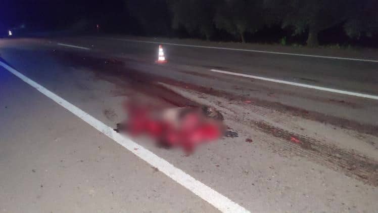 Bursa’da yola fırlayan domuza çarpan araç zeytinliğe uçtu: 2 ölü