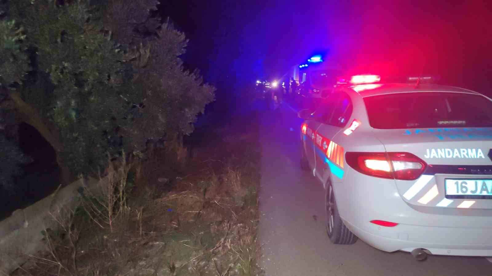 Bursa’da yola fırlayan domuza çarpan araç zeytinliğe uçtu: 2 ölü