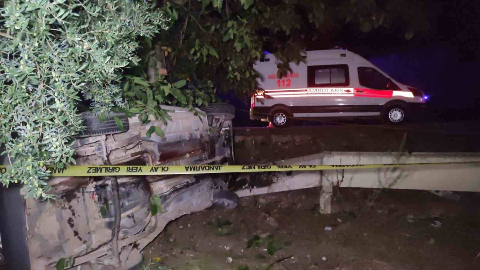 Bursa’da yola fırlayan domuza çarpan araç zeytinliğe uçtu: 2 ölü