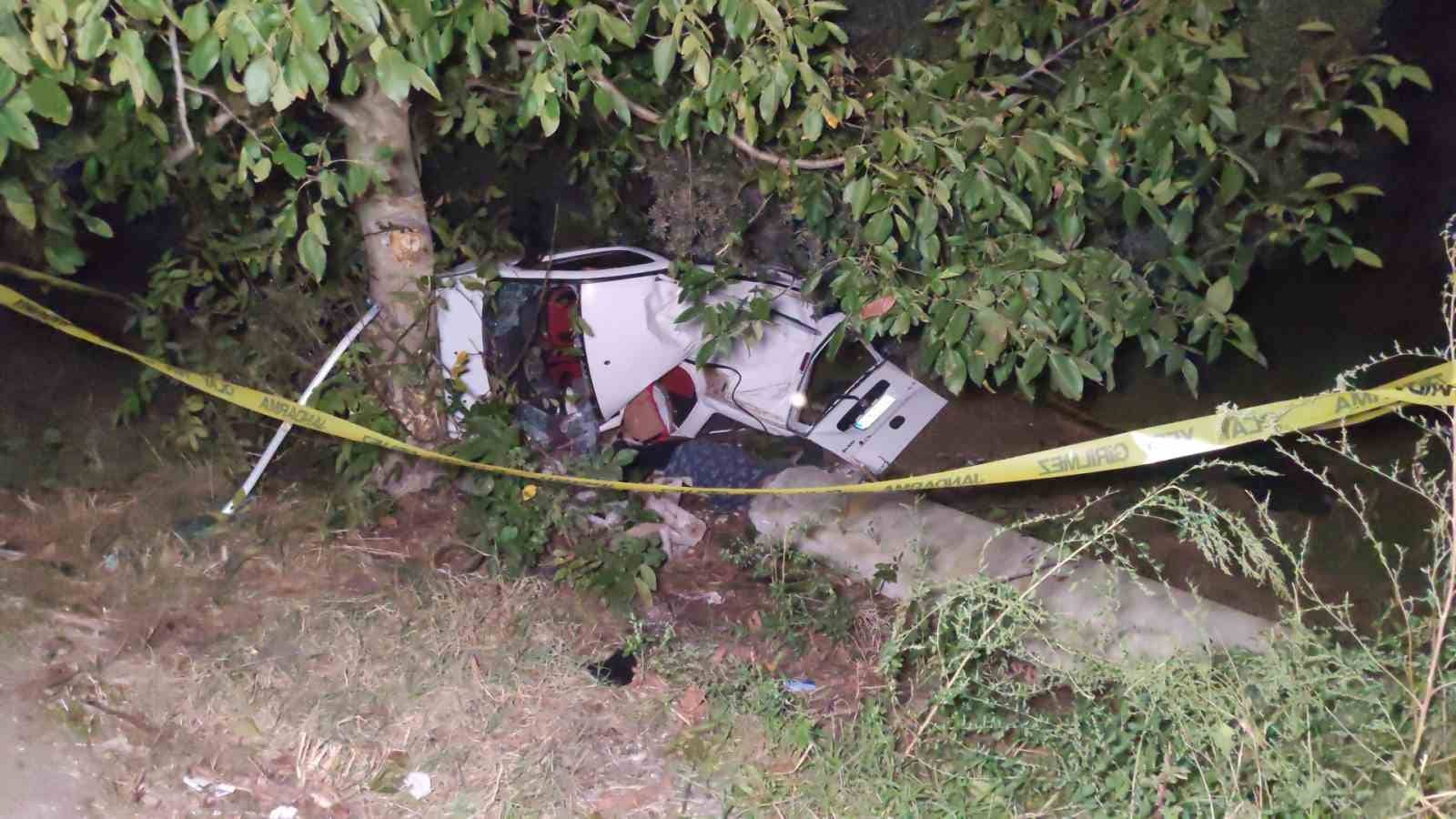 Bursa’da yola fırlayan domuza çarpan araç zeytinliğe uçtu: 2 ölü