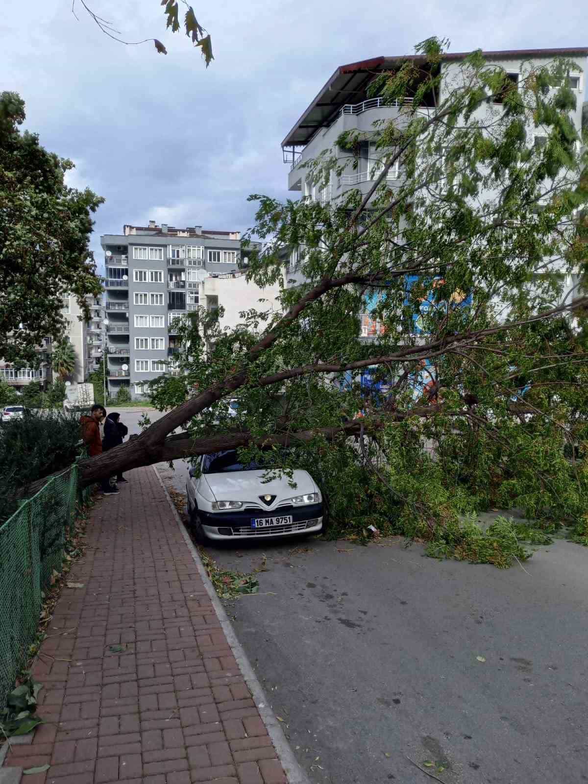 Bursa’da şiddetli rüzgar hayatı felç etti