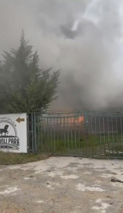 Çiftlikte yangın paniği