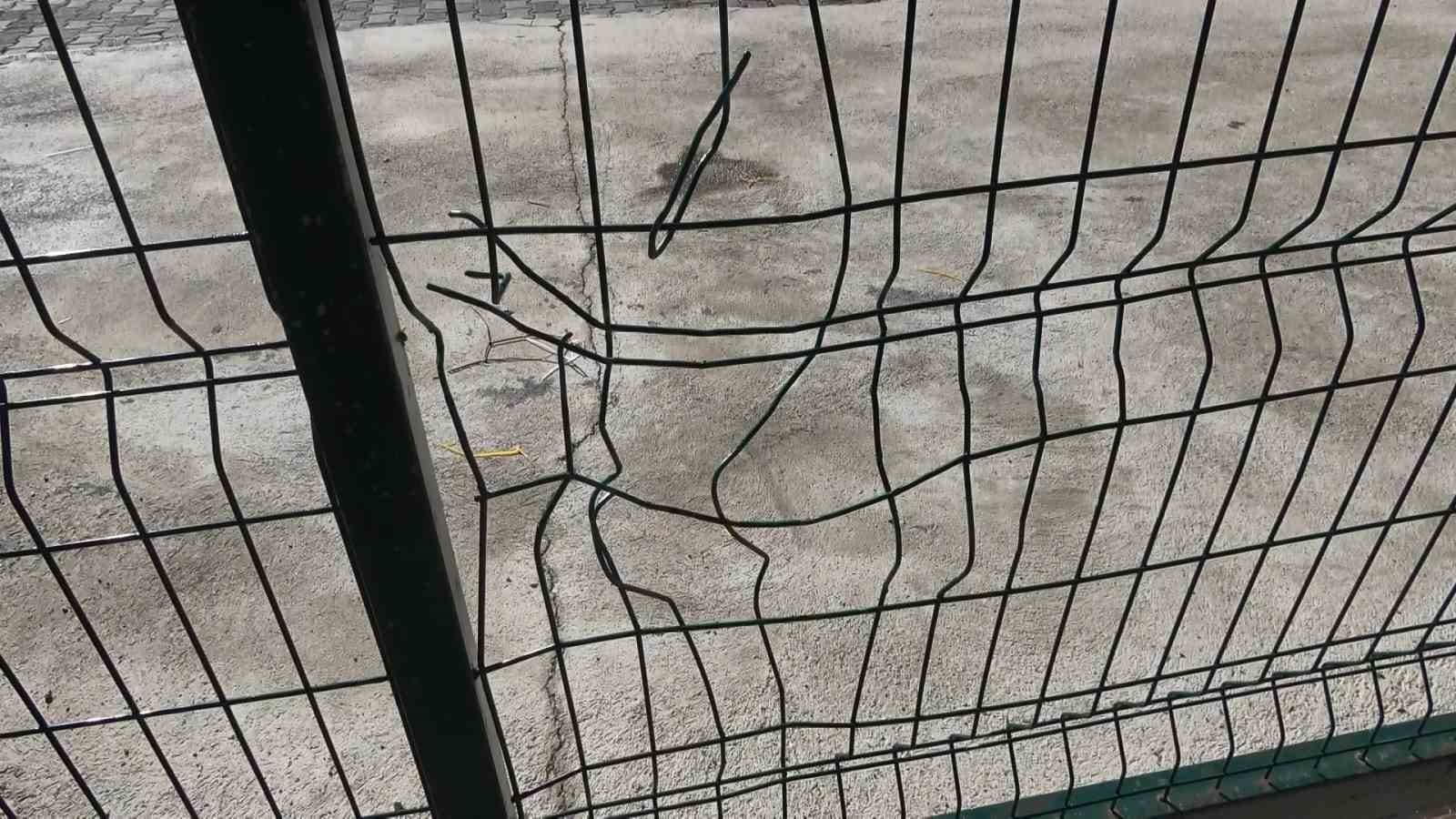 (Özel) Uludağ’da aç kalan ayılar dükkanları talan etti