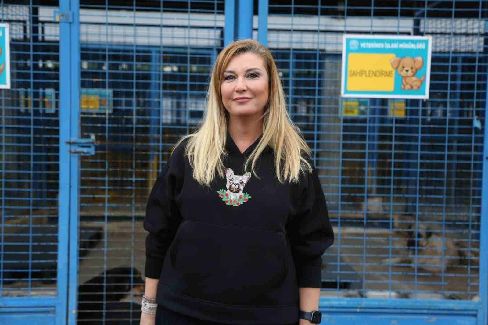 Sürü halinde dolaşan sokak köpeklerinden korunma tüyoları