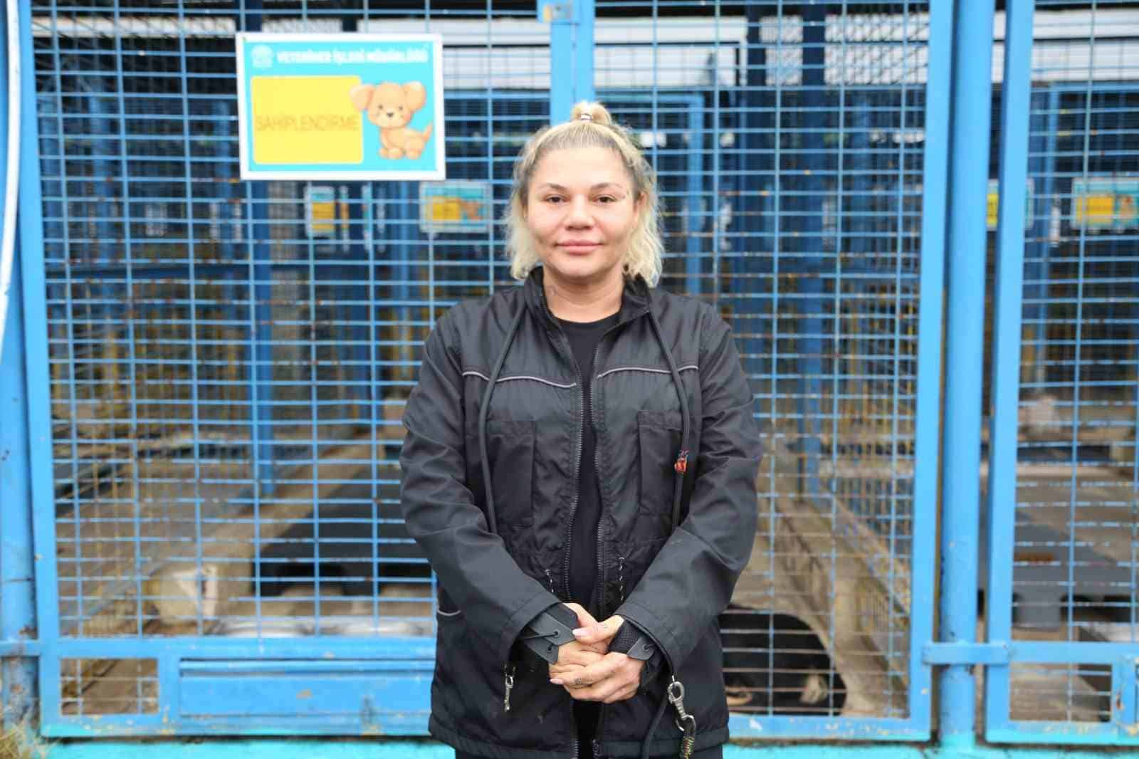 Sürü halinde dolaşan sokak köpeklerinden korunma tüyoları