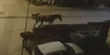 Bursa’da sokaklar gündüz insanlara, gece atlara kalıyor