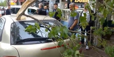 Şiddetli rüzgara dayanamayan ağaç otomobilin üzerine düştü