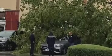 AĞAÇLARA YILDIRIM DÜŞTÜ, FIRTINA HAYATI OLUMSUZ ETKİLEDİ