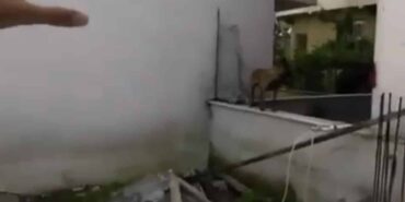 Bursa’da 3 çocuğu ısıran köpeklere polisin müdahalesi kamerada