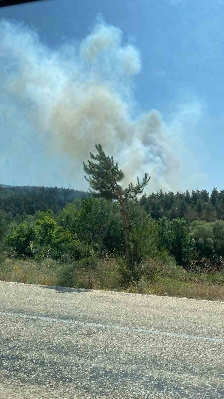 featured