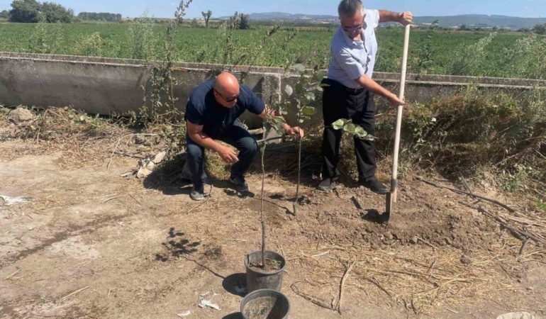 Orman yangınlarında kaybedilen her ağaç yerine 10 fidan