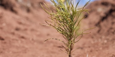 ULUDAĞ ELEKTRİK'TEN DOĞA DOSTU ÇÖZÜM