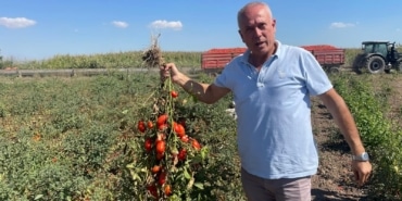 LONDRA'DA KAZANDIKLARIYLA MEMLEKETİNE TOPRAK YATIRIMI YAPTI