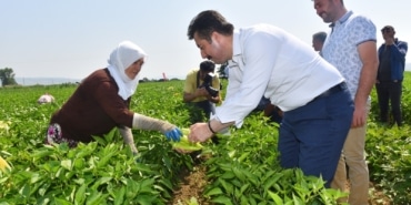 DÜNYA GIDA PAZARINDA TÜRKİYE'NİN ÜRÜNLERİ YER ALACAK YENİŞEHİR'İN TARIMIN BAŞKENTİ OLMASI İÇİN ÇALIŞMALAR BAŞLADI