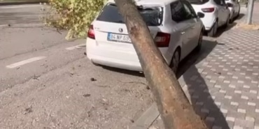 BURSA'DA FIRTINA AĞAÇLARI DEVİRDİ, ÇATILARI UÇURDU VATANDAŞLAR YÜRÜMEKTE GÜÇLÜK ÇEKTİ