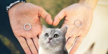 WhatsApp Image 2025-10-20 at 19.06.52