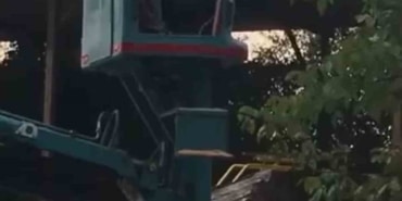 Bursa’da vinç üstünde "arı alarmı"