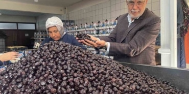 Her 6 sofralık zeytinden birini Bursa ve Balıkesir üretecek