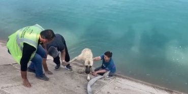 İki çocuklu kahraman anne Fırat’a düşen kangalı böyle kurtardı