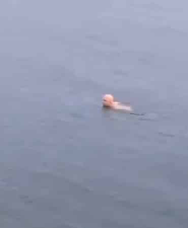 Bursa’da dondurucu soğukta deniz keyfi