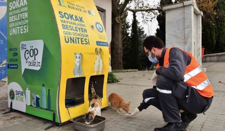 Yıldırım Belediyesi’nden sokak hayvanlarına sıcak yuva