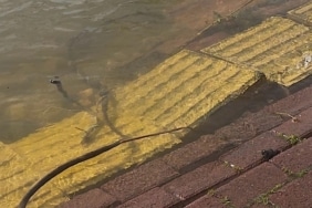 Yaren leyleğin köyü de yükselen göl sularından etkilendi