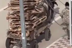 Bursa’da pes dedirten görüntüler