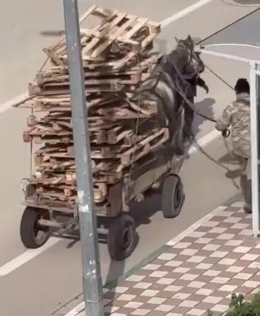 Bursa’da pes dedirten görüntüler