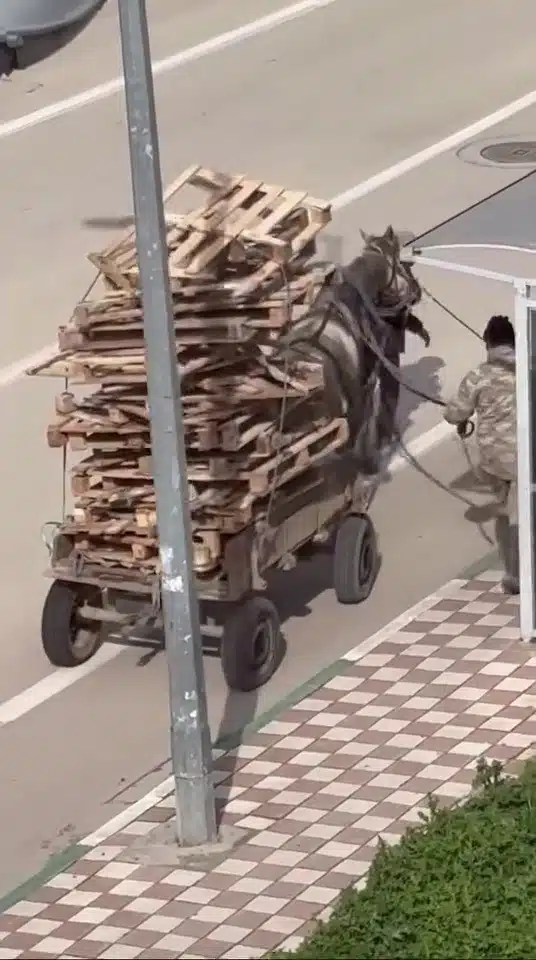 Bursa’da pes dedirten görüntüler