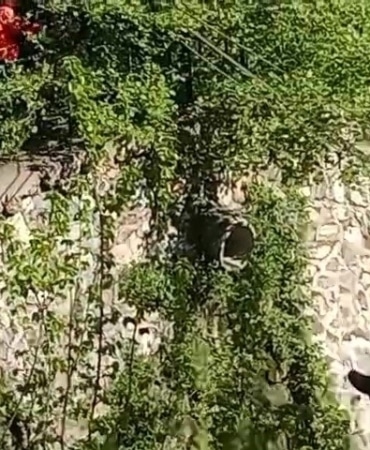 Bursa’da 17 ekibin katılımıyla arama kurtarma tatbikatı