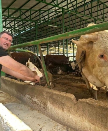 Bursa’da kurban hareketliliği: Tonluk boğayı 400 bin liraya sattı