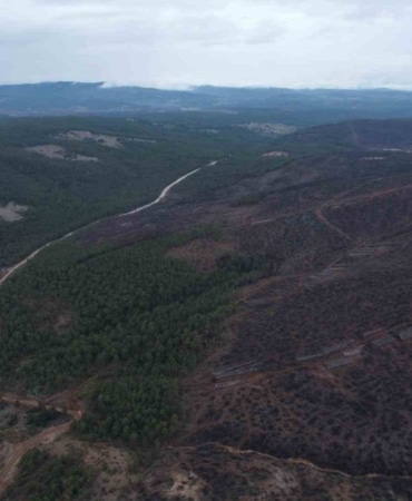 Bursa’da tarihin en büyük orman yangınında yaralar böyle sarıldı