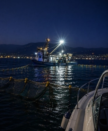 Gemlik Körfezi’nde sardalya avcılığı başladı
