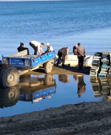 İznik Gölü’nde bereketli sezon...Gümüş balığında yüzler gülüyor