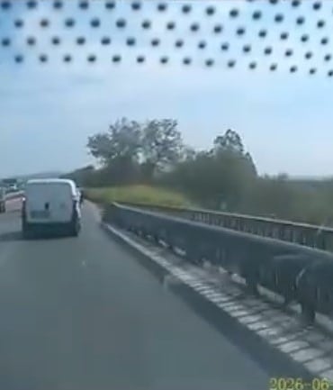 Ters yönden gelen at arabası trafiği tehlikeye attı