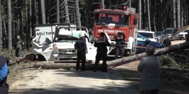 Uludağ’da inanılmaz olay...Kesilen ağaç seyir halindeki kamyonetin üzerine devrildi: 1 ölü