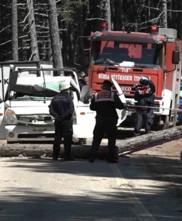Uludağ’da inanılmaz olay...Kesilen ağaç seyir halindeki kamyonetin üzerine devrildi: 1 ölü
