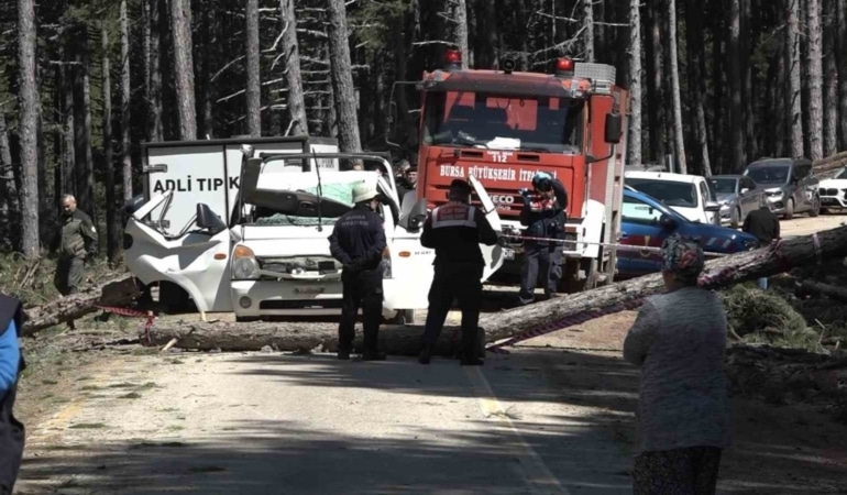 Uludağ’da inanılmaz olay…Kesilen ağaç seyir halindeki kamyonetin üzerine devrildi: 1 ölü