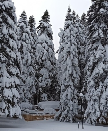 Uludağ’da kış geri dönüyor...Mayısta kar sürprizi yaşanacak