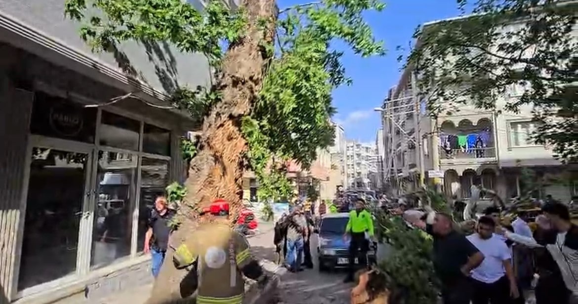 Bursa’da seyir halindeki araçların üzerine ağaç devrildi: 1 kişi yaralandı
