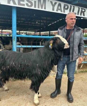 Bursa’daki kurban pazarının şampiyon keçisi 47 bin liradan satıldı